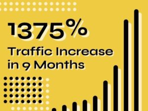 Case study: 1375% Traffic Increase in 9 Months | Sustainable Niche Content Site